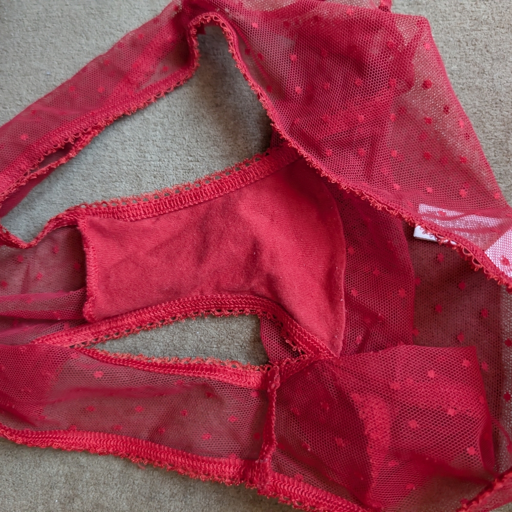 Victoria's Secret Red and Purple Panty Set Bundle - Picture 10 of 16